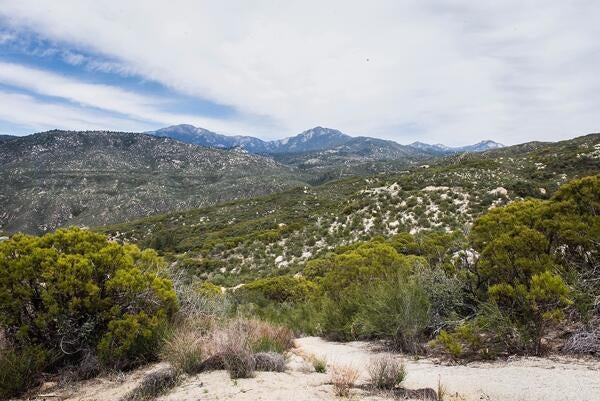 San Jacinto Mountains