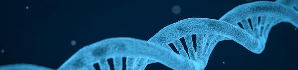 Haplotype / pixabay.com