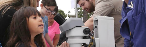 Entomology outreach / Riverside Insect Fair